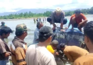 Speedboat MISTER UN yang sebelumnya dilaporkan hilang kontak di perairan Teluk Tomini akhirnya ditemukan di pesisir Pantai Desa Malanggo, Kecamatan Tinombo Selatan, Kabupaten Parigi Moutong, Kamis (30/7/2026) sekitar pukul 09.00 Wita.