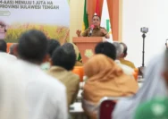 Petani