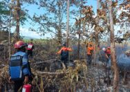 Kebakaran hutan dan lahan (karhutla) membakar sekitar 72,4 hektare kawasan hutan dan semak belukar di Pulau Bakalan, Kabupaten Banggai Kepulauan, Sulawesi Tengah.