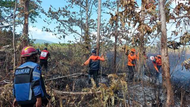 Kebakaran hutan dan lahan (karhutla) membakar sekitar 72,4 hektare kawasan hutan dan semak belukar di Pulau Bakalan, Kabupaten Banggai Kepulauan, Sulawesi Tengah.