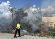 Kebakaran melanda lahan kosong di belakang gudang barang campuran milik salah satu perusahaan ritel besar di Jalan Karadjalembah, Palu Selatan, Kota Palu, Sulawesi Tengah, Kamis (20/8/2026) siang.
