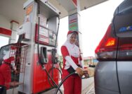 Pertamina Patra Niaga Regional Sulawesi memastikan penyaluran BBM subsidi di Kabupaten Buol dan Kabupaten Toli-Toli, Sulawesi Tengah, tetap berjalan untuk memenuhi kebutuhan masyarakat.