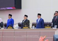 Sinergi