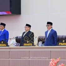 Sinergi