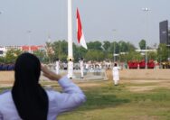 Pemuda